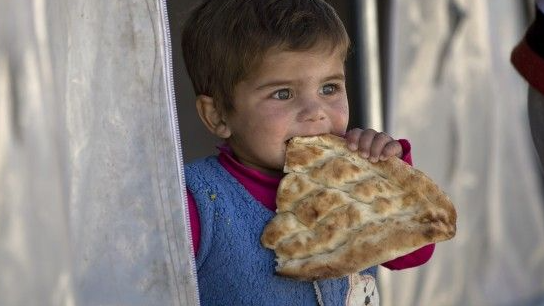 1000 Bread a DAY for our brothers and Sisters 